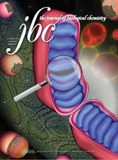 jbc cover image